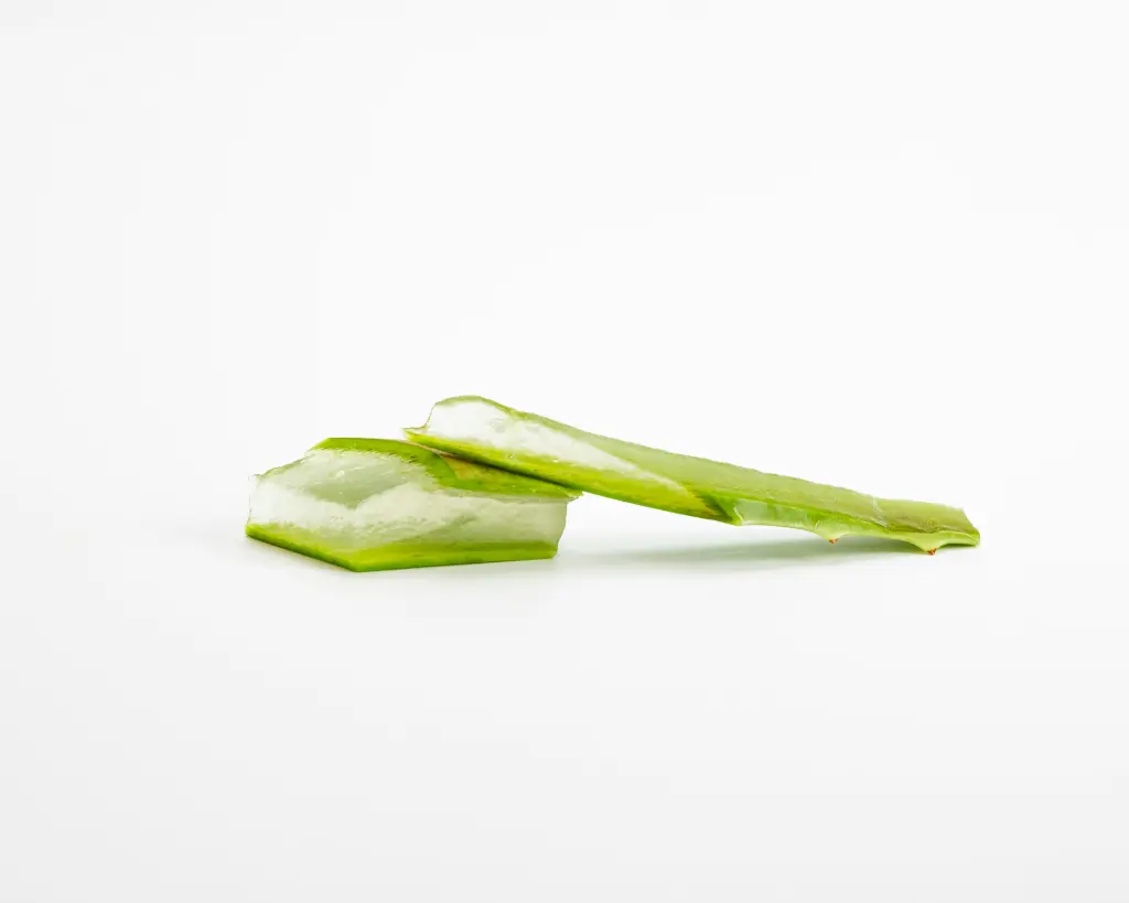 unsplash_F0MdMJY2z54_aloe vera cucumber body soap.jpg.jpg.webp